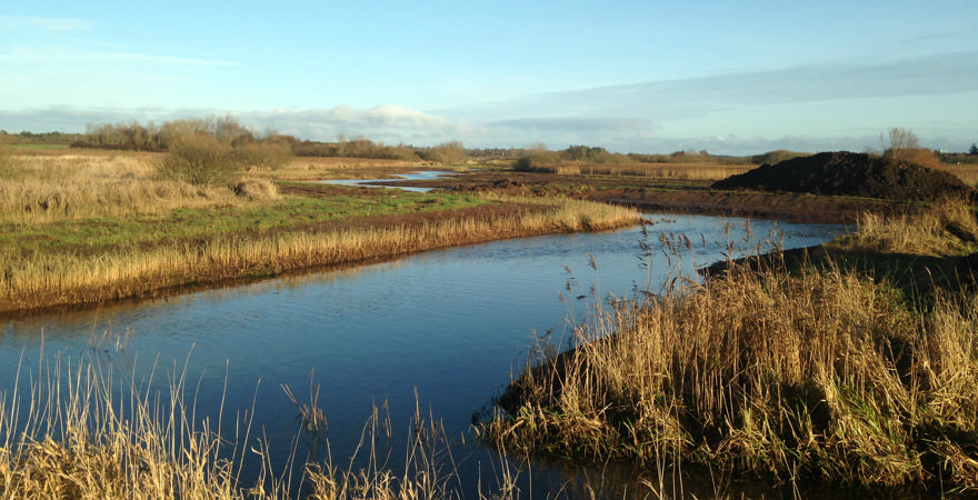 Genslynget Hover Å indvies med løjer og ørred-yngel
